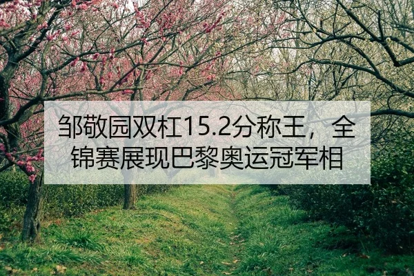 邹敬园双杠15.2分称王，全锦赛展现巴黎奥运冠军相